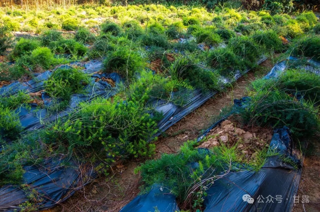 1768878634424278.jpg 640 (2).jpg